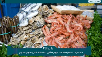 «صادم».. أسعار الأسماك اليوم الإثنين 12-5-2025 تقفز بأسواق مطروح